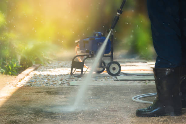 Animal Enclosure Cleaning in Moundsville, WV